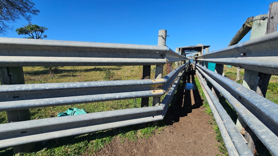 Commercial Property for Sale in Komga Rural Eastern Cape